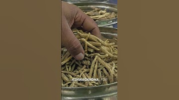 Adaptogens Explained: Can They Really Reduce Stress? 🤯🌱 #health #adaptogens #stressrelief