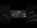 PART 1 | 007 first light gameplay