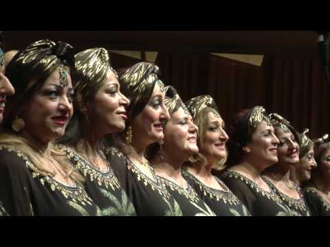 نماذج من مهرجان طيور دجلة الخامس 2014  