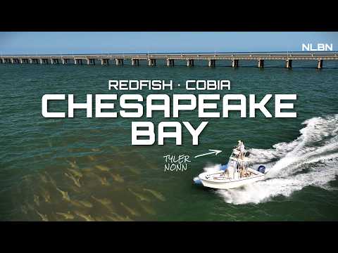 3 Days Chasing MASSIVE Schools of Redfish & Cobia w/ Tyler Nonn: NLBN