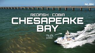 "It's like National Geographic!" GIANT Redfish Schools in the Chesapeake Bay w/ Tyler Nonn: NLBN