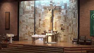 Daily Mass - Fridays