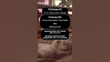 Thumbnail of Tips Perhitungan Kebutuhan Blower untuk Kandang Ayam Broiler Closed House: Panduan Praktis