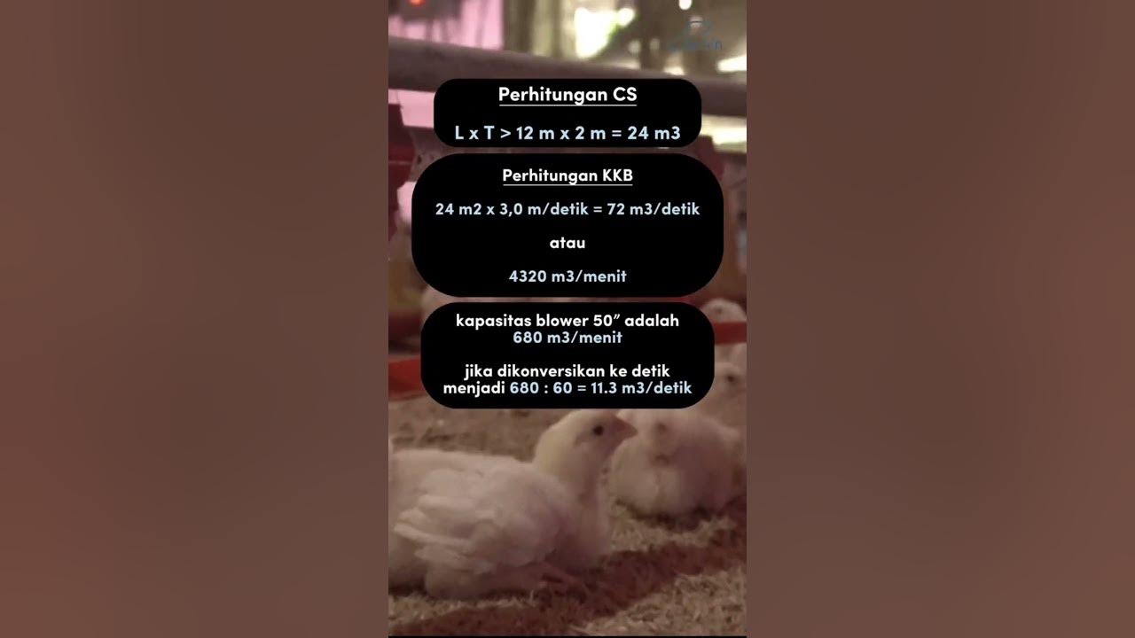 Tips Perhitungan Kebutuhan Blower untuk Kandang Ayam Broiler Closed House: Panduan Praktis