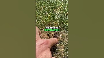 Easy Lawn Dethatching Tips