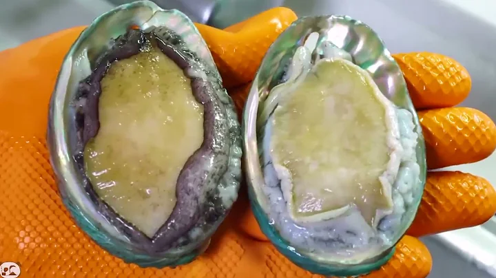 ASMR SPICY SEAFOOD, 해물찜 먹방, SPICY ENOKI  MUSHROOM, 불닭 짜장 팽이버섯 먹방, OCTOPUS, SQUID 버섯 먹방MUKBANG 5