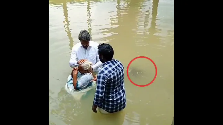 | Jesus is the Real God |