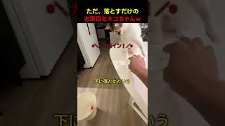 お掃除のつもりが、散らかっている件