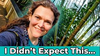 Kew Gardens: A Botanical Journey Through the Eyes of an Artist (with an Immersive Walk)