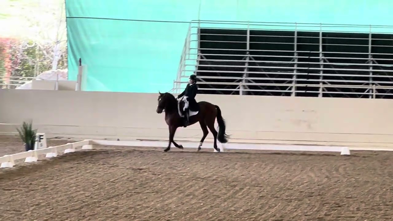 Prix St Georges   62.059%    Mike Osinski