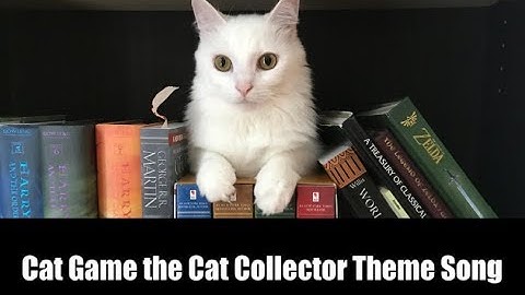 New Cat Game the Cat Collector Theme Song