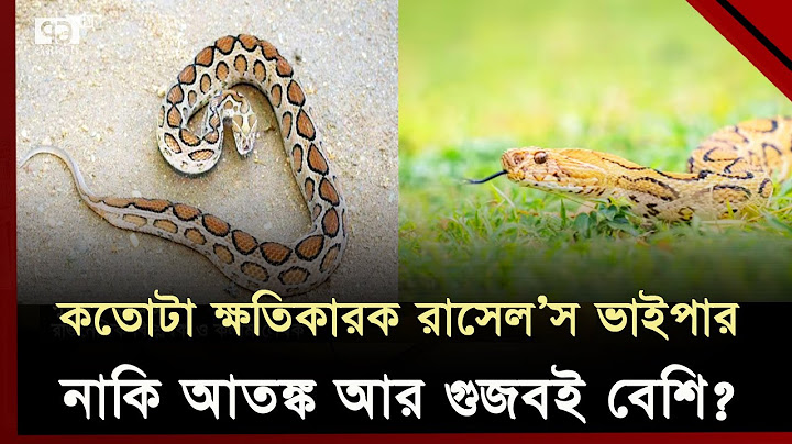 রাসেল'স ভাইপার দেখলে কী করবেন? | Russell's Viper | Ekattor TV