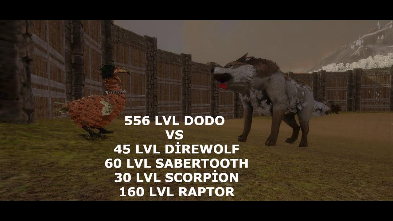 556 LVL DODO VS 45 LVL DİREWOLF-60 SABERTOOTH-30 LVL SCORPİON-160 LVL ...