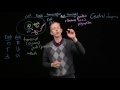 Central Dogma of Biology Quiz