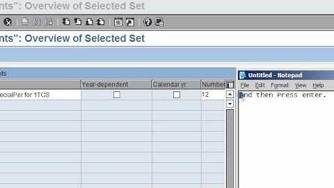 SAP FICO VIDEO TRAINING TUTORIALS 0009 MAINTAIN FISCAL YEAR VARIANT ECC6 - BAYISETTI