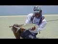 Sport Fishing Television 2019 - The Flats Phantom, Episode 1