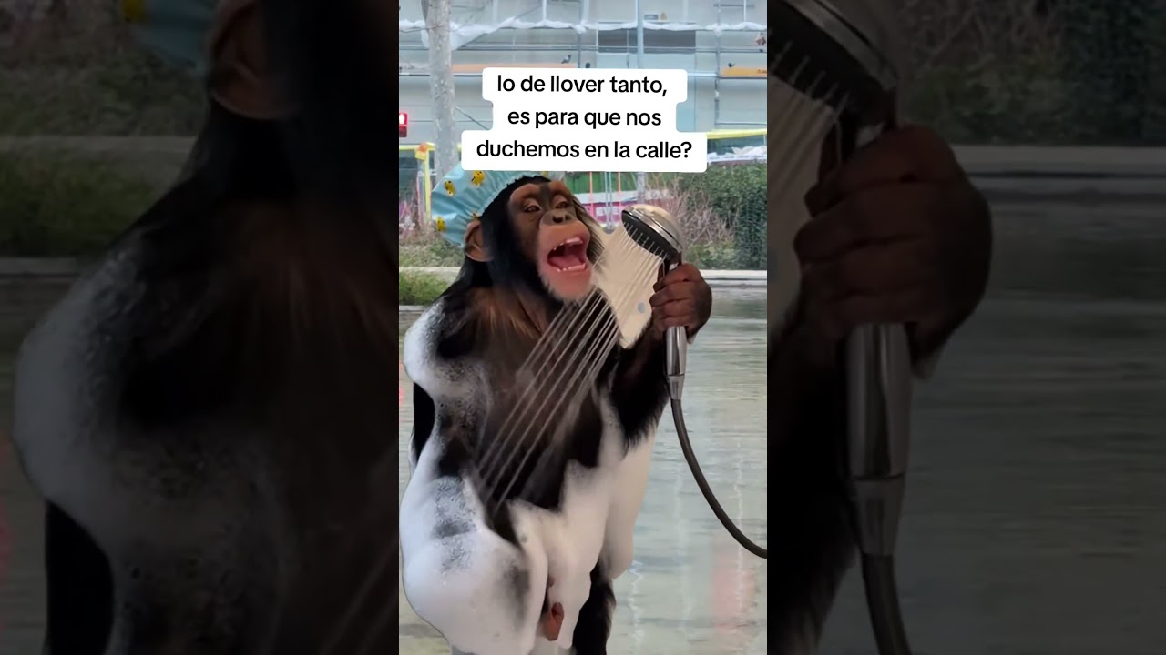 Почему так много дождя? 