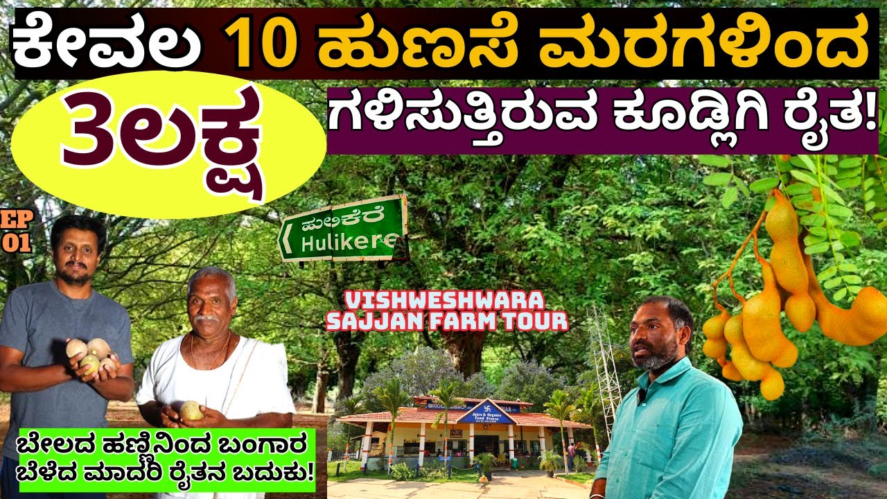 FARM TOUR-ಕೇವಲ 10 ಹುಣಸೆ ಮರದಿಂದ 3 ಲಕ್ಷ ಆದಾಯ ಗಳಿಸುತ್ತಿರುವ ಕೂಡ್ಲಿಗಿ ರೈತ-Vishweshwara Sajjan-
