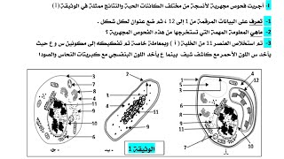 الاختبار الثاني في العلوم الطبيعية للسنة الثانية ثانوي
