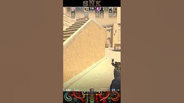 CS2 Flicks - One and Only PGL Legend sNk  #cs2 #deagle #snk