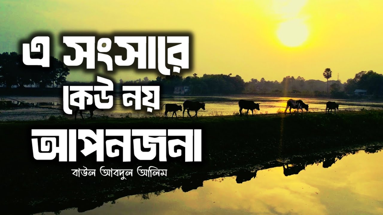 Ei Shongshare Keu Noy Aponjona | এ সংসারে কেউ নয় আপনজন | বাউল আবদুল আলিম | Dream Music Tune