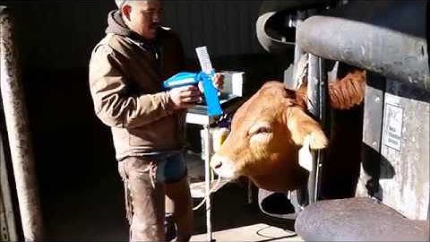 AniChute operation sample video