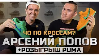 ЧО ПО КРОССАМ? Арсений Попов / Розыгрыш Puma /Импровизация ТНТ /Рекорд рубрики "На ощупь"