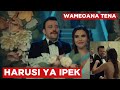 EVERMORE LEO USIKU HARUSI YA IPEK NA FIKRET IMEFUNGWA TENA KWA FURAHA EVERMORE LEO USIKU HARUSI YA IPEK NA FIKRET IMEFUNGWA TENA KWA FURAHA