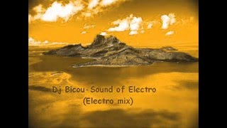 Dj Bicou-Sound Of Electro Electro Mix