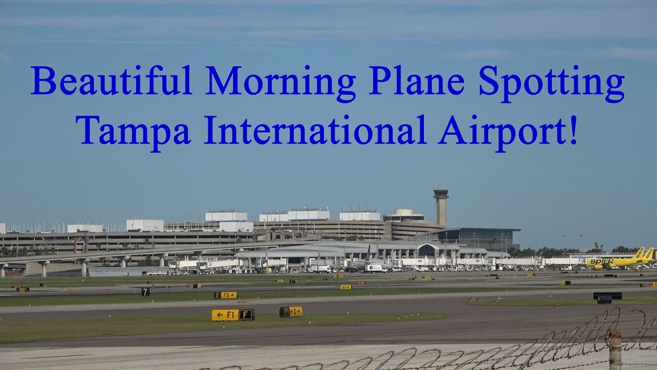 BEAUTIFUL MORNING PLANE SPOTTING TAMPA INTERNATIONAL AIRPORT TPA YouTube