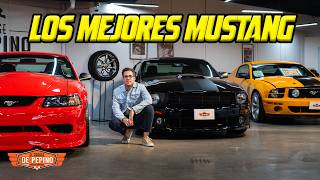 We made a pure Mustang museum