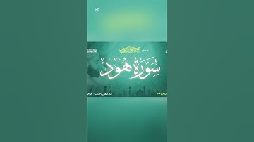 خواتيم سورة هود || القارئ عبدالرحمن الزواوي