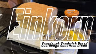 Einkorn Sourdough Sandwich Bread