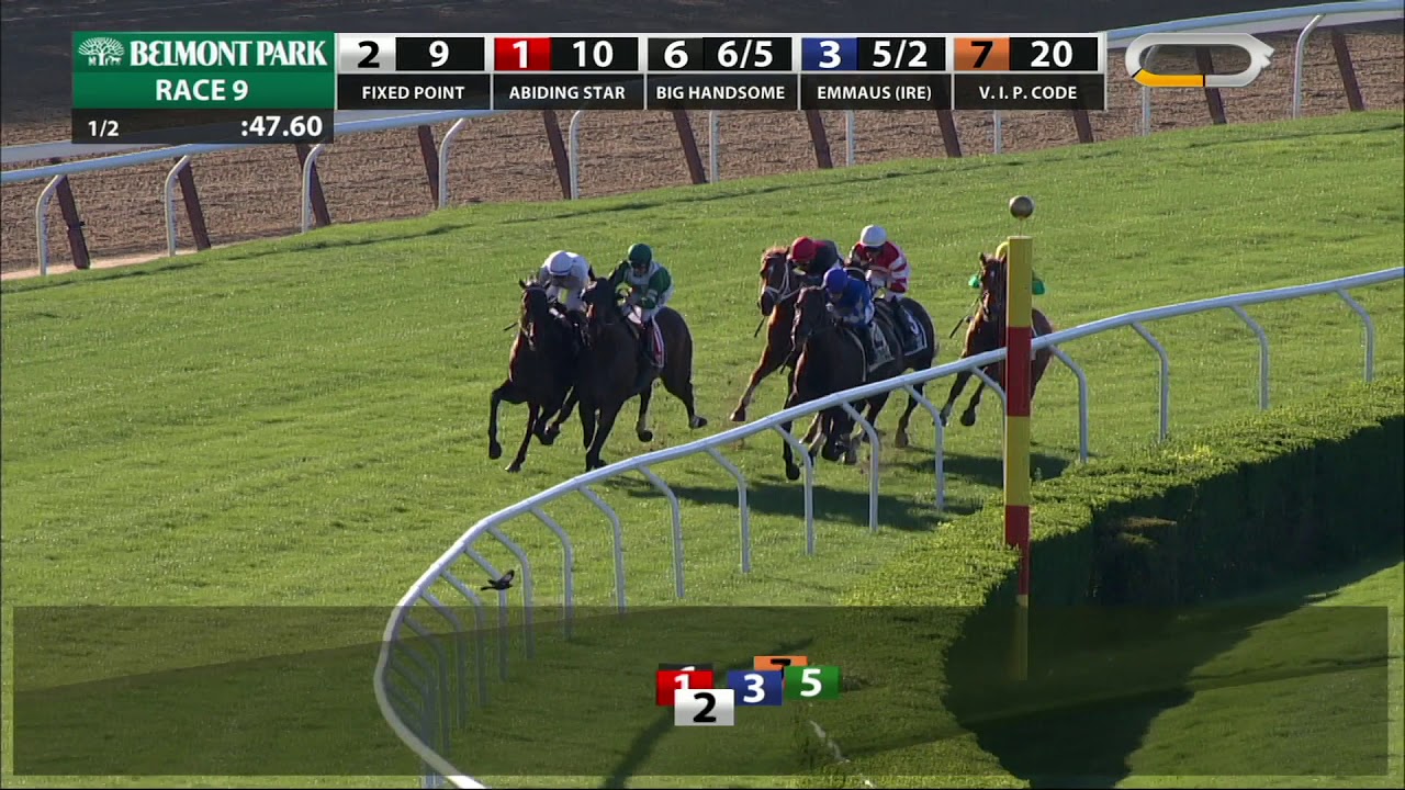 horse racing news Therapist - 2019 - The Elusive Quality Stakes en Espanol