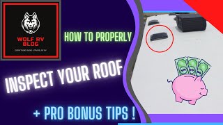 How To Properly Inspect Your RV Roof + Pro Bonus Tips !