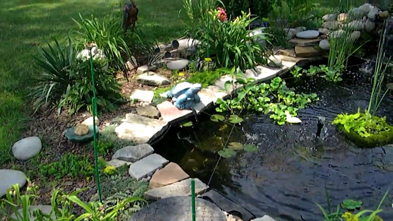 stop-a-heron-from-eating-your-pond-fish-using-fishing-line-youtube