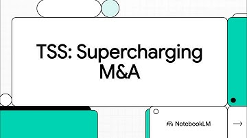 TSS Case Study: Accelerating M&A Due Diligence with raia