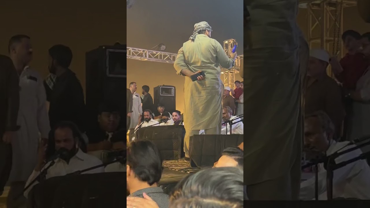 Beautiful bulls coming soon 2025❤️❤️❤️ 