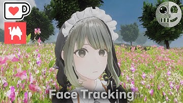 Lowtus - Face Tracking Add on