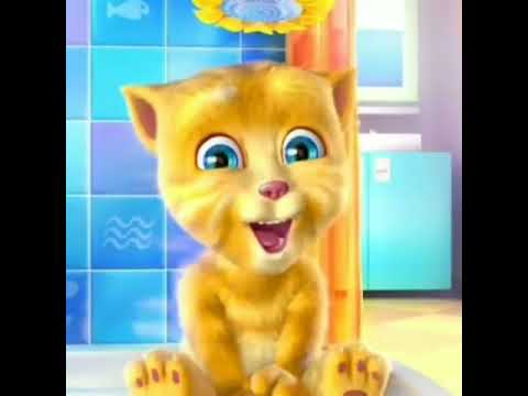 Talking Tom Thangamey