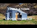 Tribulations of a cookie monster