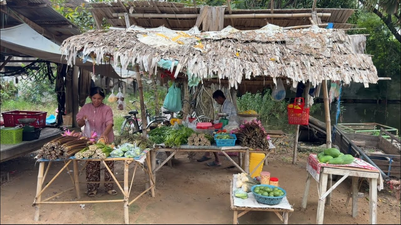 Roadside Village Grocery Store in Countryside, Cambodia