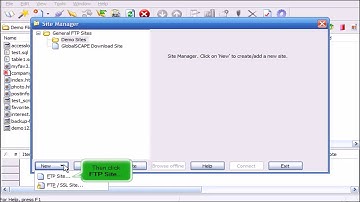 FTP - CuteFTP - Configure Website