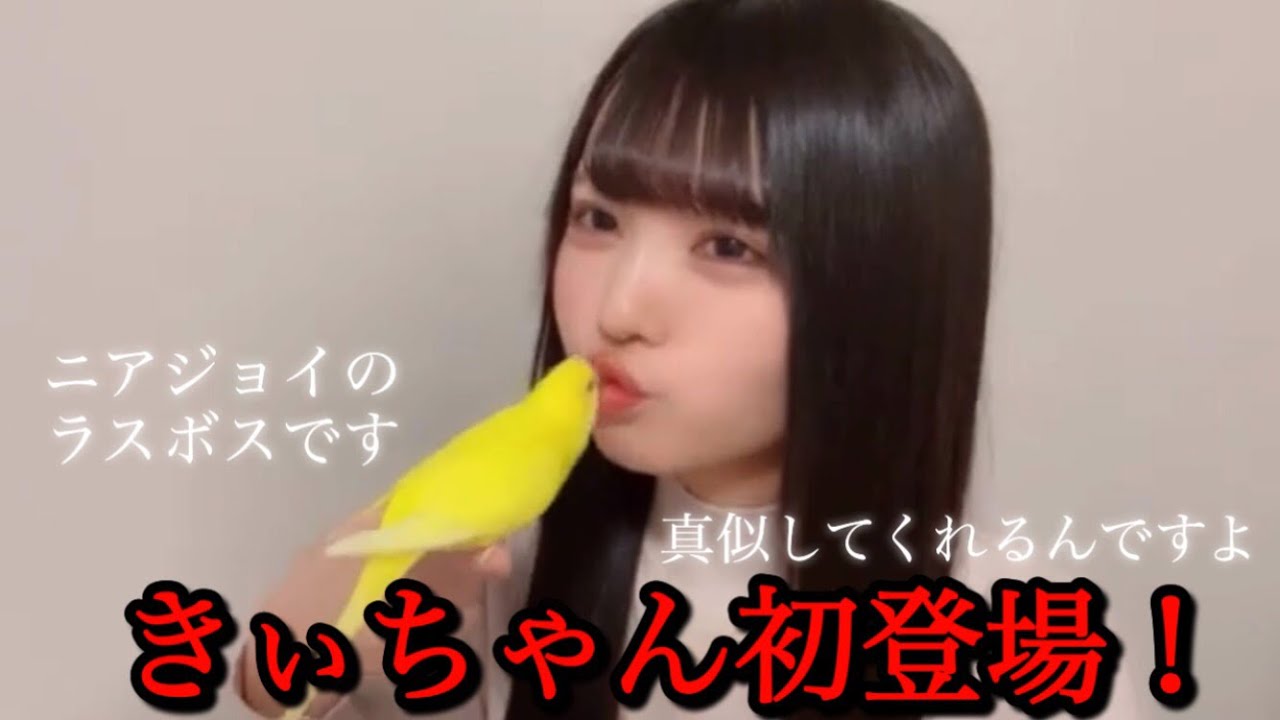 【市原愛弓】きいちゃん初登場！