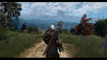 The Witcher 3 Modded Graphics | Erik