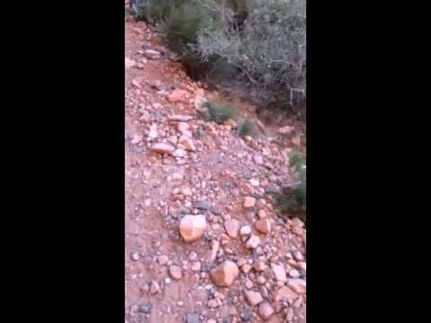 Video: Red Rock Canyoni looduspark: täielik juhend