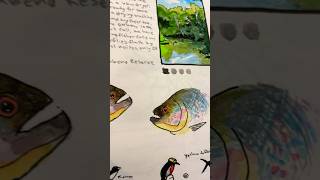 Piranha Catch and Cook Drawing #drawing #piranha