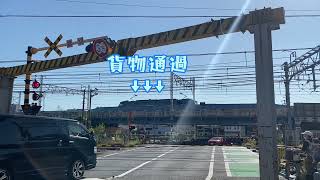 【電車】踏切通過のJR線②(京浜東北線、東海道線、特急踊り子、貨物列車)