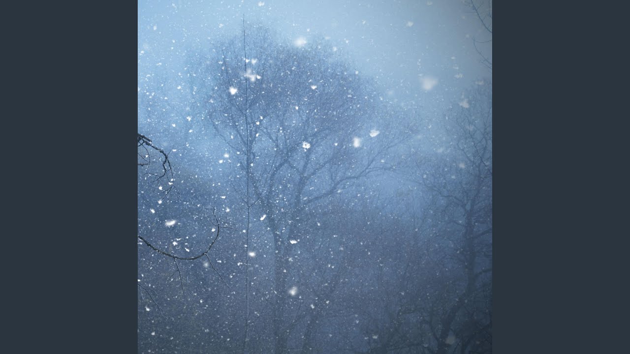 Watch Calming Winter Rain 10 on YouTube Watch Calming Winter Rain 10 on YouTube