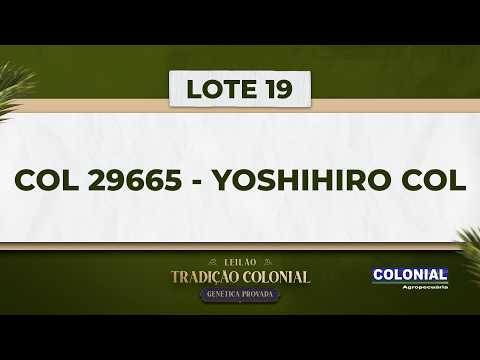 LOTE 19   COL 29665   YOSHIHIRO COL